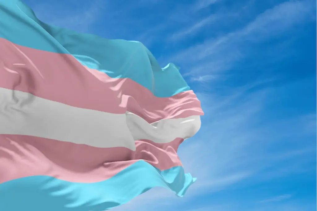 bandeira trans